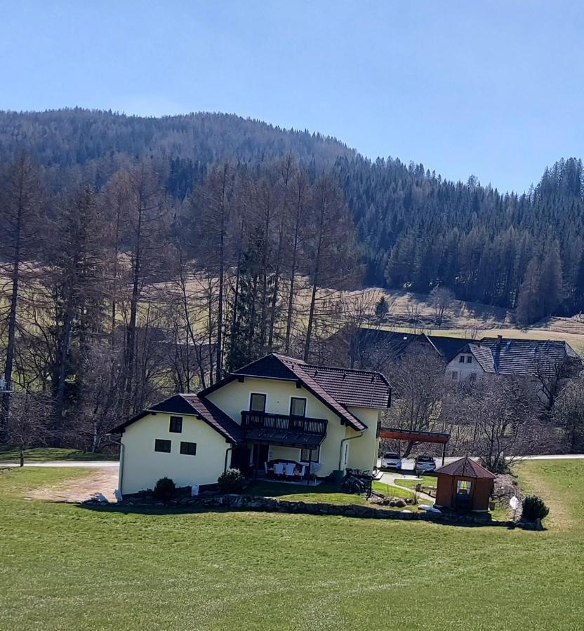 Greimblick Apartment Sankt Peter am Kammersberg Екстериор снимка
