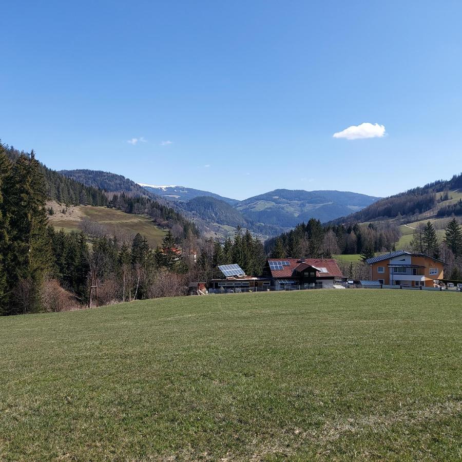 Greimblick Apartment Sankt Peter am Kammersberg Екстериор снимка
