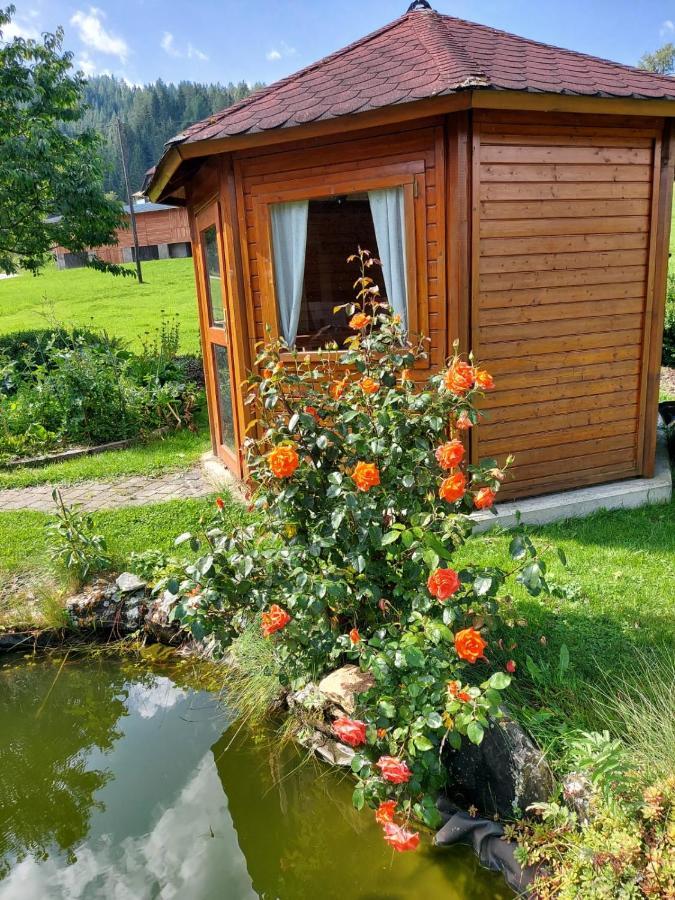 Greimblick Apartment Sankt Peter am Kammersberg Екстериор снимка