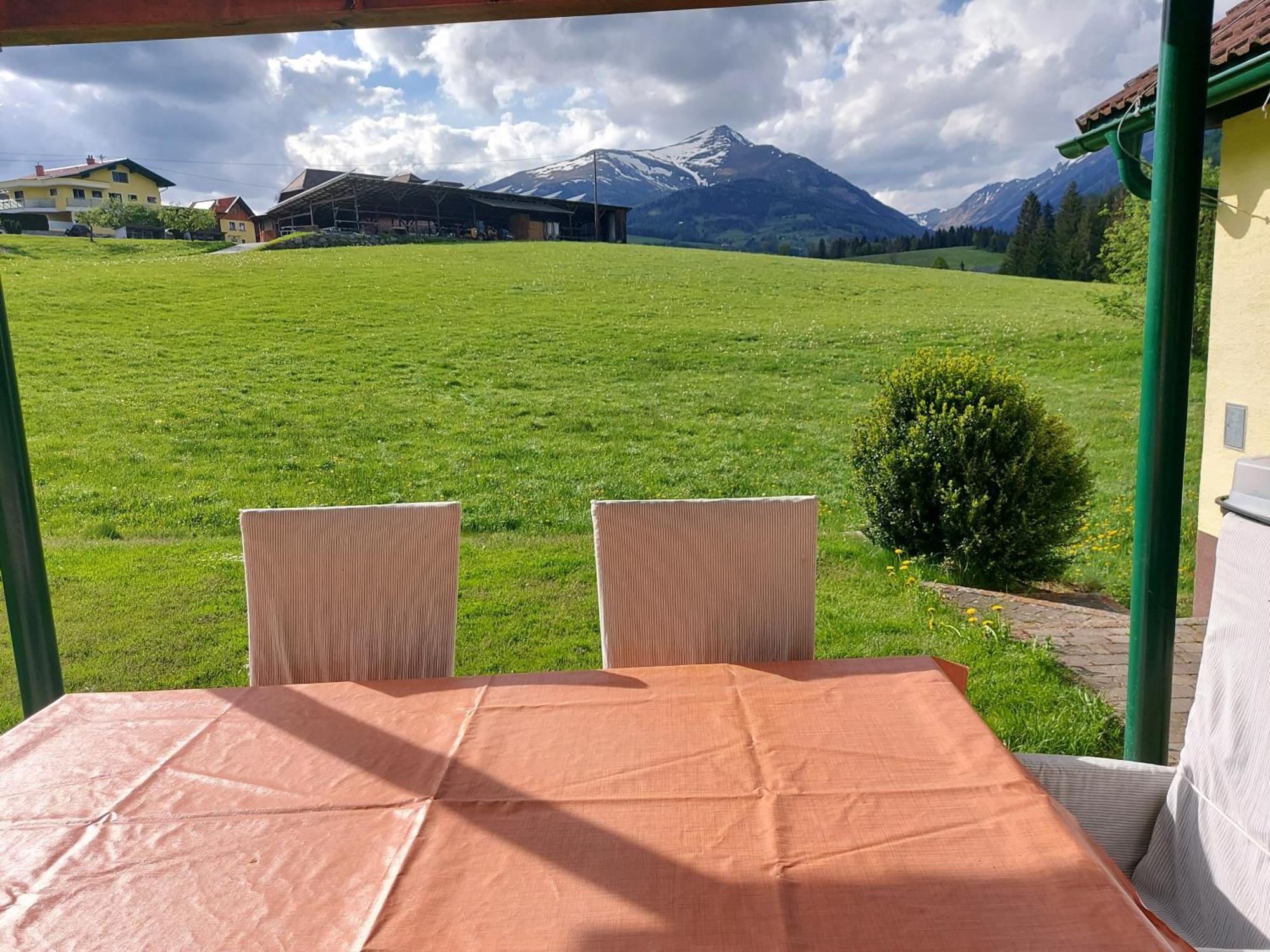 Greimblick Apartment Sankt Peter am Kammersberg Екстериор снимка